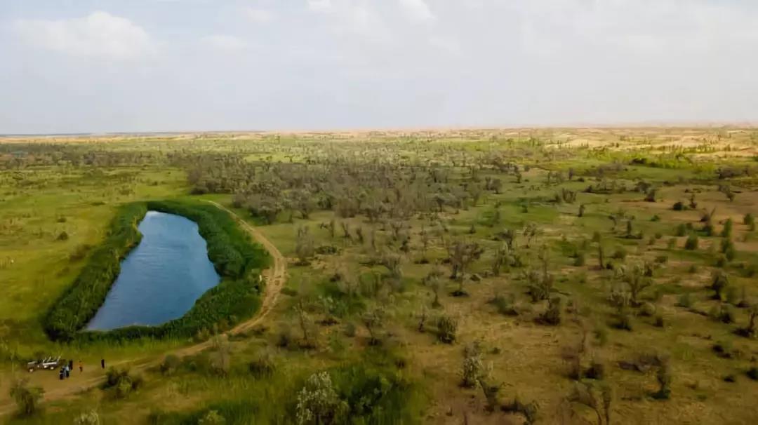 1582464346121752.jpg 微信圖片_20200223212534.jpg