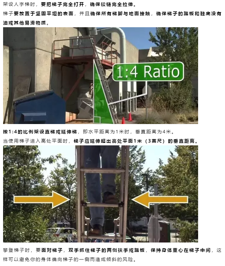 1592803984559349.png image.png