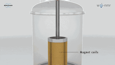 1593423537311073.gif 微信圖片_20200629173825.gif