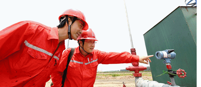 1608012283770899.png image.png