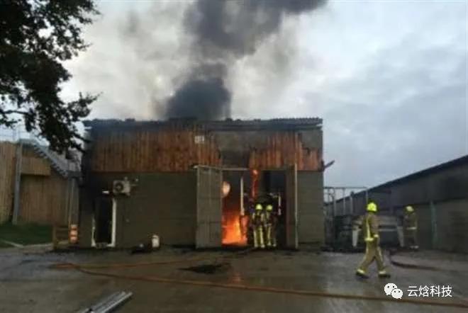 1627970438235234.jpg 5.jpg