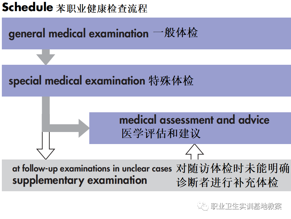 1692863284680672.png 64022323.png